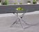 Palvia Oval Glass Dining Table
